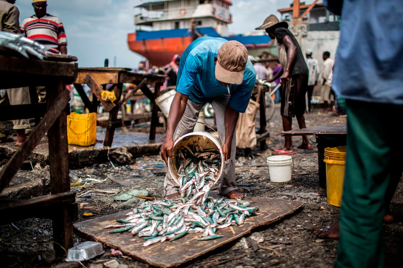 <h3 class="cms-H3-H3">24. Tanzania</h3>
<br>
<br>🌍 
<b>RNB per cápita:</b> $2,760
<br>
<br>🌍 
<b>Producto Interno Bruto 2020:</b> $62,400 millones.
<br>
<br>🌍 
<b>Esperanza de vida: </b>65.5 años.
<br>
<br>🌍 
<b>Población: </b>59.7 millones.
<br>