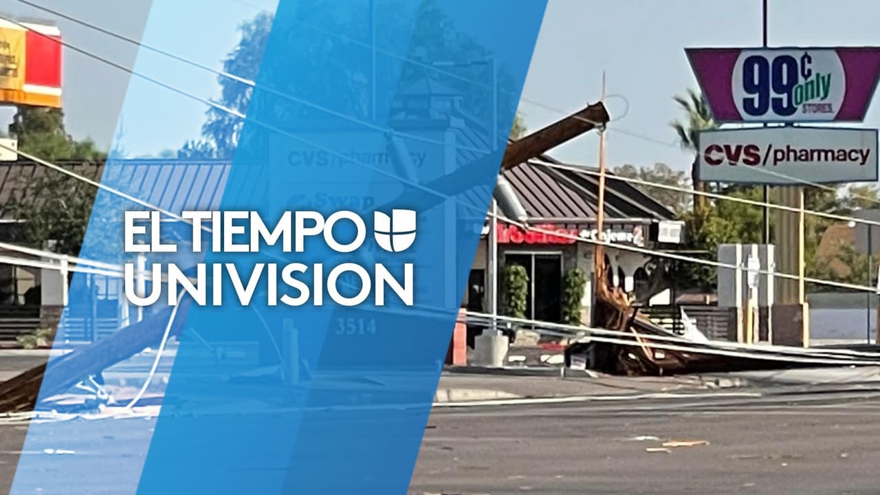 Tormenta deja a miles de personas sin electricidad, calles cerradas, postes y árboles caídos 