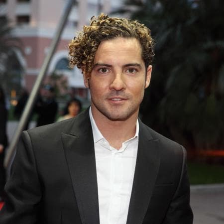 La guerra en los juzgados que comenzó David Bisbal el pasado 12 de febrero contra su exesposa Elena Tablada ha llegado a su fin.