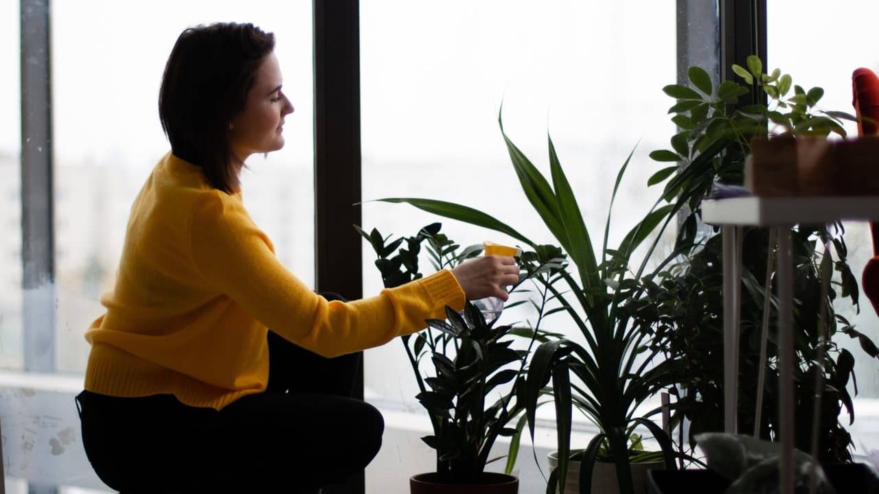 Reciclar el agua de tu casa para usarla en las plantas.