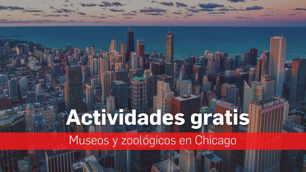 Actividades gratis en Chicago: la lista completa de los días sin costo en museos y zoológicos 