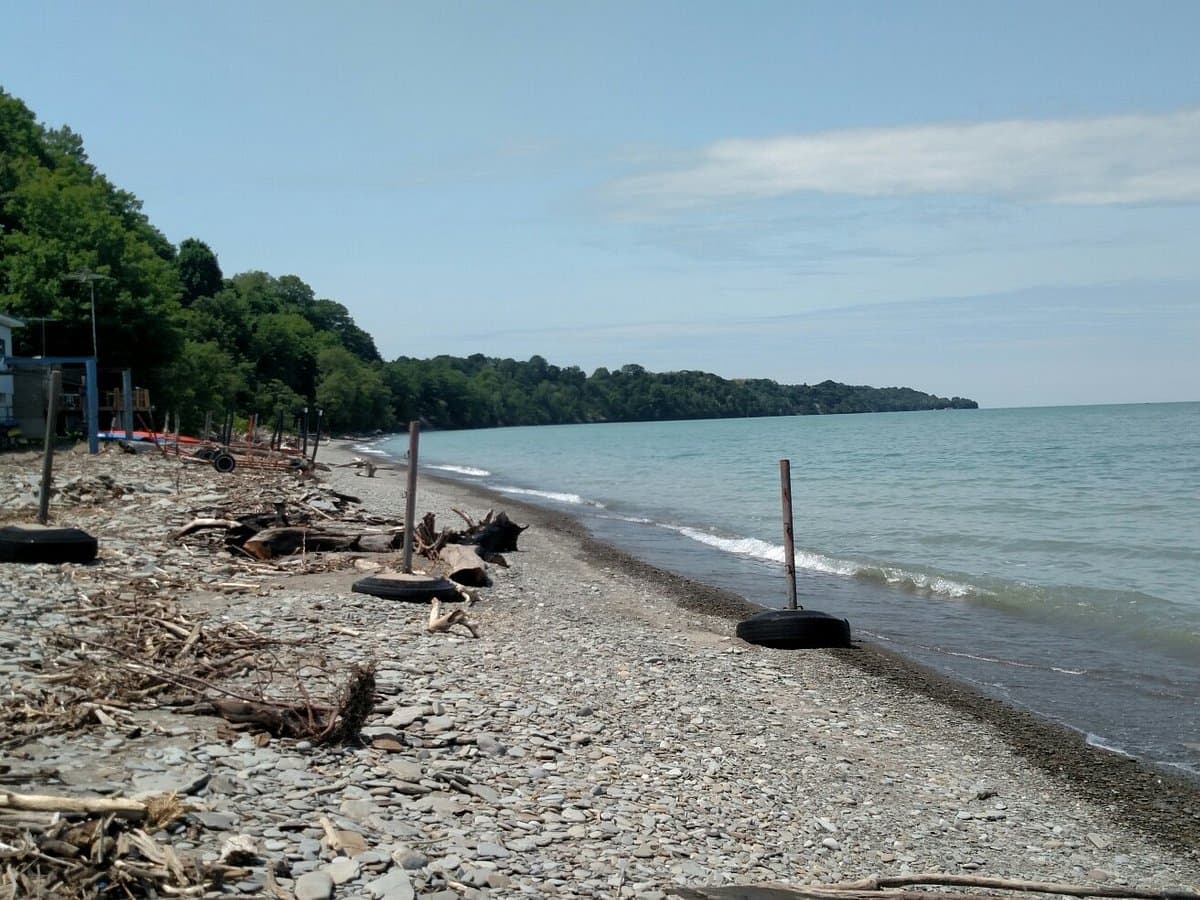 &lt;b&gt;&lt;a href=&quot;https://www.tripadvisor.com/Attraction_Review-g53349-d14100242-Reviews-Freeport_Beach-North_East_Pennsylvania.html&quot;&gt;Freeport Beach (Condado de Erie)&lt;/a&gt;&lt;/b&gt;. La playa cuenta con áreas de picnic, un parque infantil, baños, redes de voleibol y un snack bar.