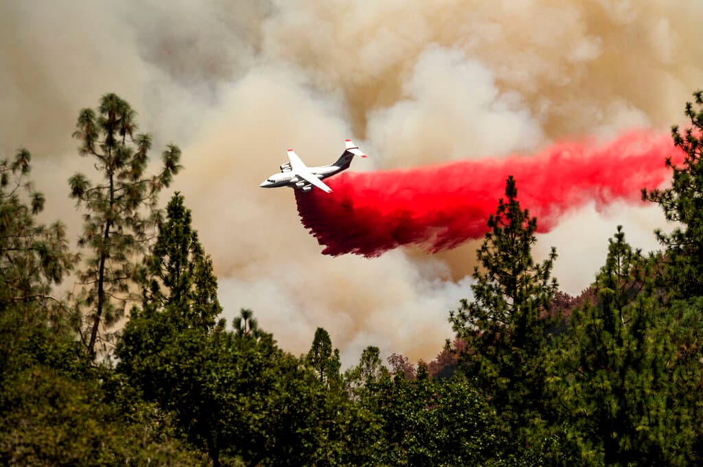 Los equipos en tierra protegieron las casas mientras los aviones cisterna lanzaban retardante sobre las llamas de 50 pies (15 metros) que corrían por las crestas al este de la pequeña comunidad de Jerseydale. Los vientos ligeros arrastraron las brasas hacia las ramas de los árboles "y como está tan seco, es fácil que surjan incendios puntuales y eso es lo que alimenta el crecimiento", dijo la portavoz de Cal Fire, Natasha Fouts.