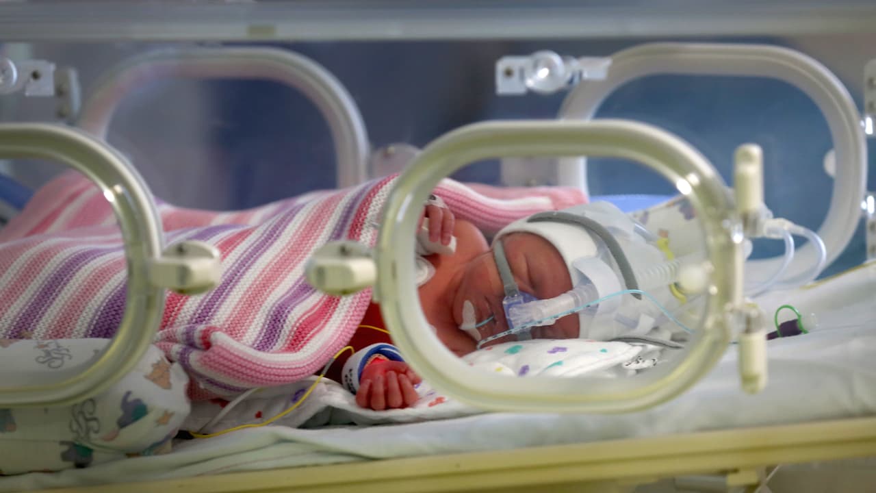 Proyecto de ley: padres biológicos deben pagar 50% de gastos médicos por partos de sus hijos