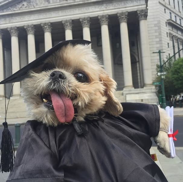 Lo que significa que las clases están por terminar.