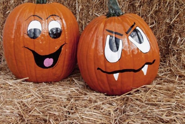 La tradición de decorar las calabazas y hacer "jack-o-lanterns" también la trajeron los irlandeses. En su celebración, en lugar de calabazas, usaban grandes rábanos, curiosamente. Las llevaban a los límites del pueblo o las quemaban afuera de su casa para evitar que los malos espíritus entraran a su hogar.
