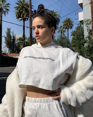 <b>5. Es toda una empresaria. </b>La cantante lanzó al mercado su línea de ropa, que incluye sudaderas y ropa deportiva. Se llama PULL&BEAR by Rosalía.