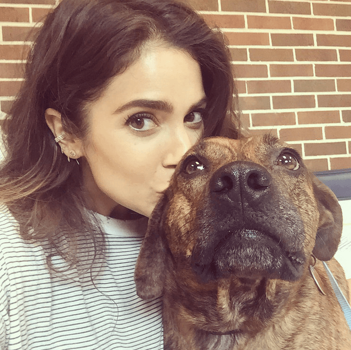 “Conoce a Lucy, el perrito que ha cambiado mi vida para siempre”-Nikki Reed.