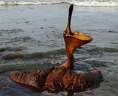 El costo de la limpieza. Tony Hayward, director ejecutivo de BP, dijo en Londres, Inglaterra, que la compañía tendrá que enfrentar costos severos por el derrame. Y que la empresa asumirá su responsabilidad en el vertido, lo que supone el pago completo de las tareas de limpieza. ¿Y cuánto costará?Un dato: BP experimentó en junio una reducción de $70,000 millones en el valor de sus acciones.Pero luego subieron.