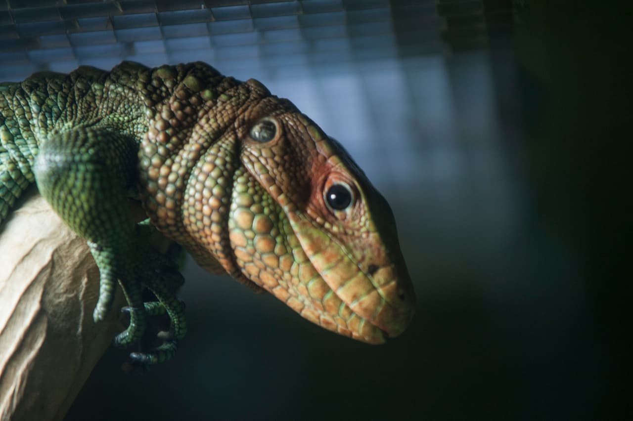 Un bello dia fue perfecto para las familias desde Bakersfield a Modesto.