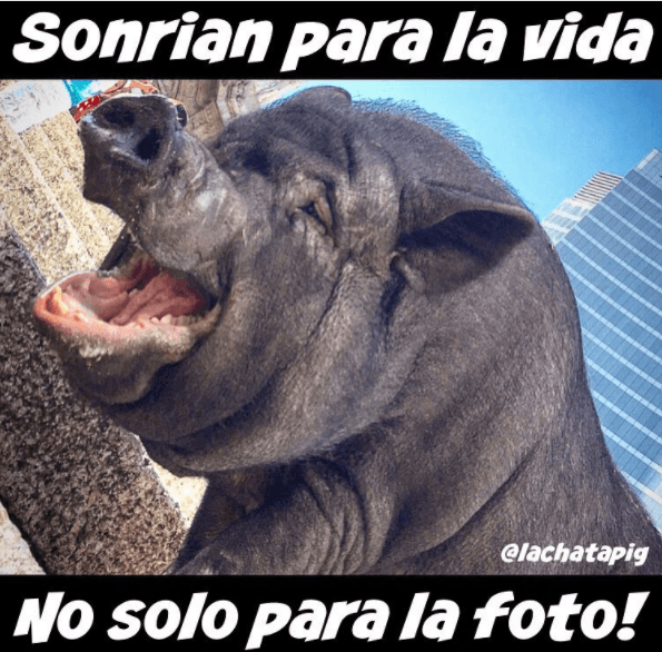 Así es como La Chata también crea buena vibra en sus redes sociales.