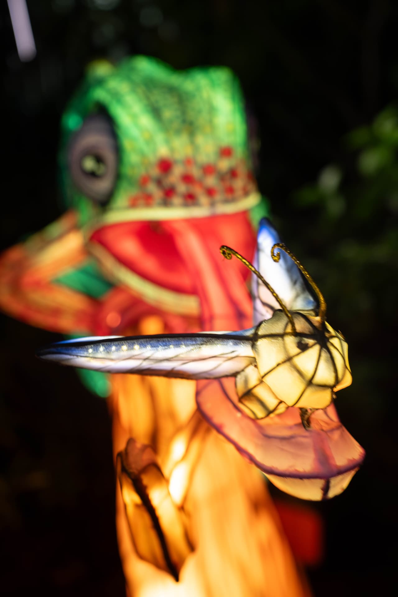 Aquatica se llena de luz: llega el festival nocturno que encantará a Orlando