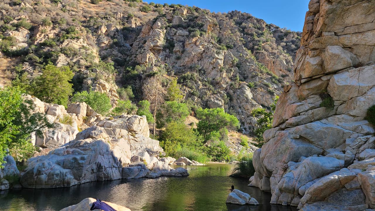 Deep Creek es el “hogar del sapo Southwestern Arroyo, una especie en peligro de extinción que vive en la orilla arenosa del arroyo”.