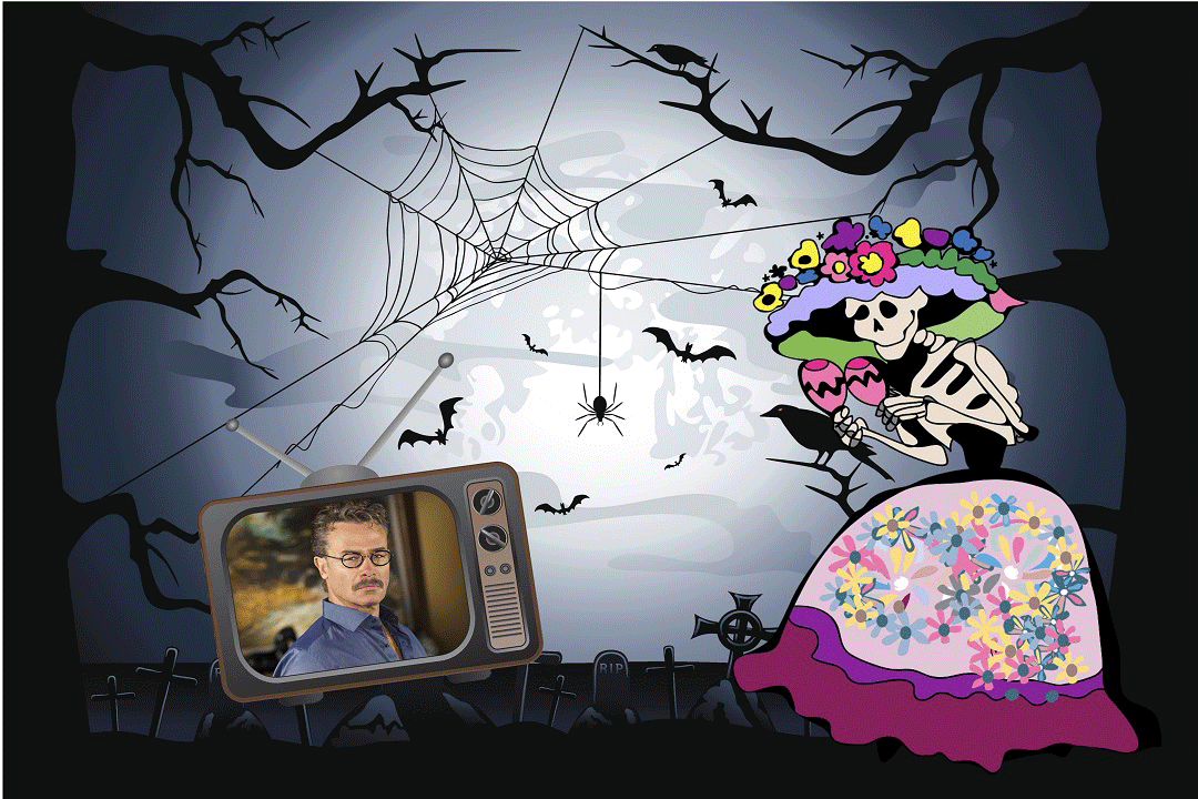 “A mí me gusta el romance, Los melodramas me hacen vibrar ¡A un galán de telenovelas A la tumba me voy a llevar!”