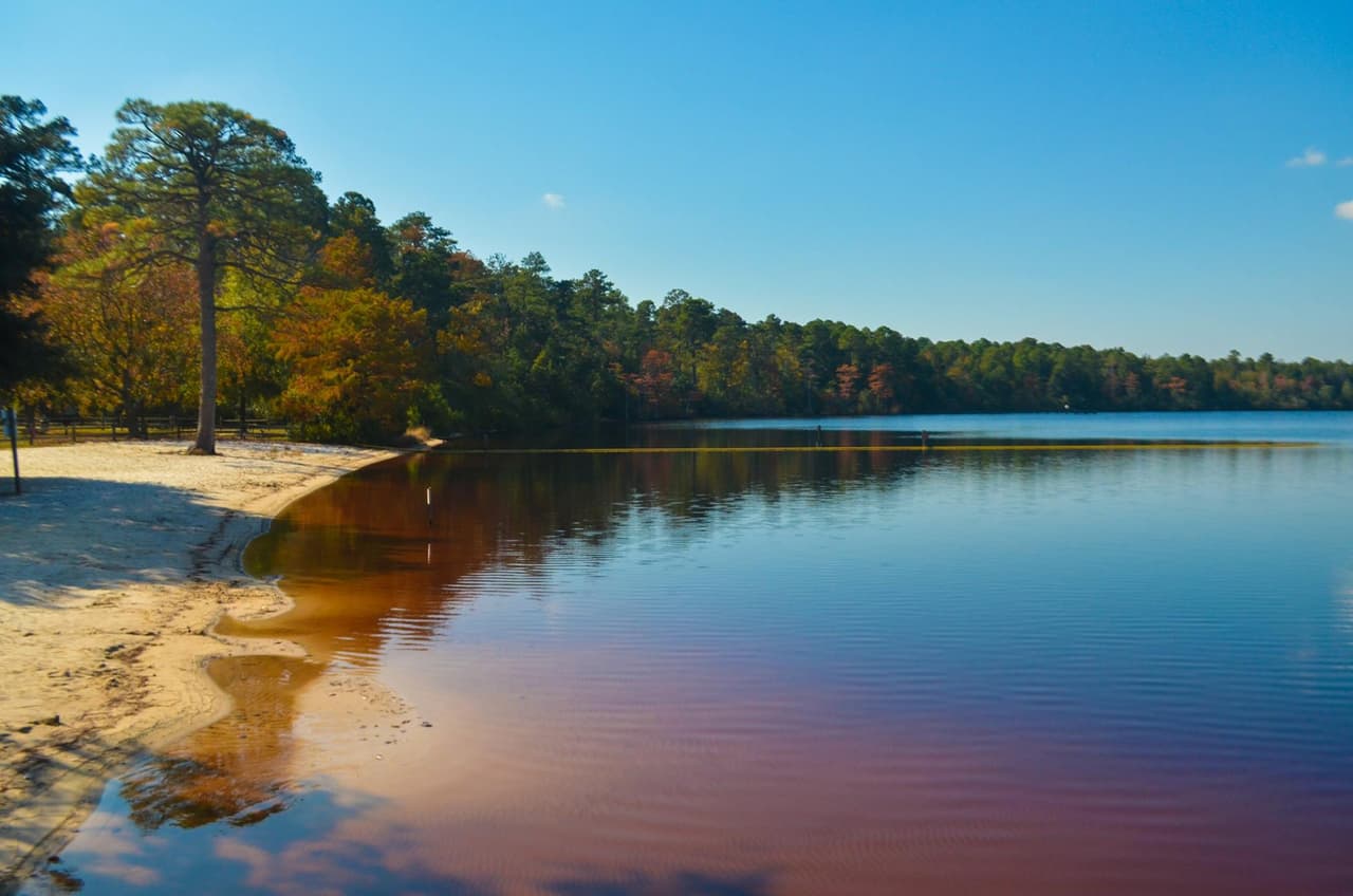Las aguas del color del té ocultan la poca profundidad del lago, que alcanza sólo 8 pies.
