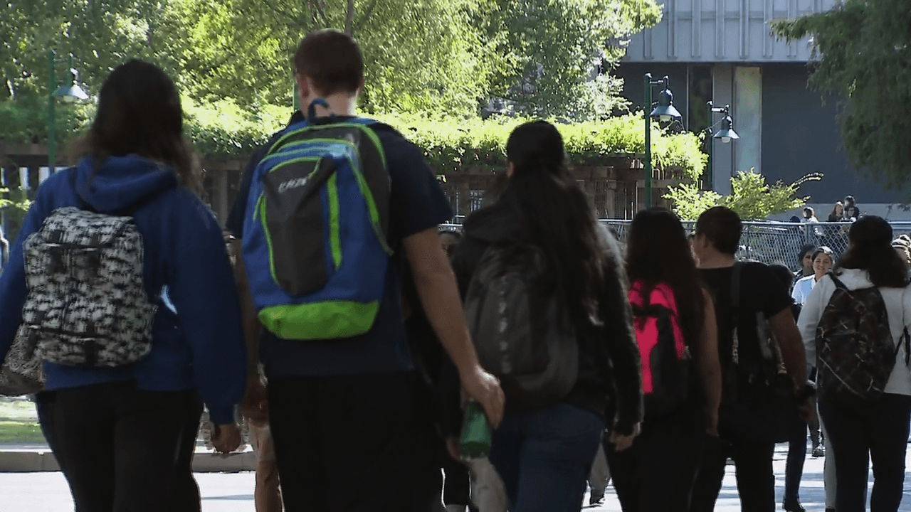 IA podría afectar el aprendizaje: Profesores advierten impacto negativo en la educación