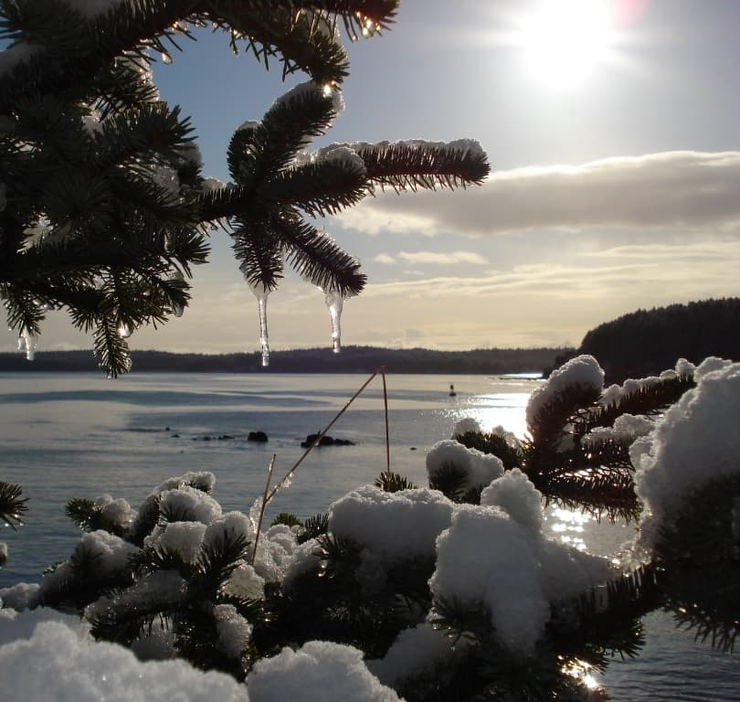 BOSQUE DE HIELO. Sin la vestimenta adecuada, Kodiak es un lugar en donde la hipotermia es una posibilidad en cualquier momento del año. Esté en Alaska y tiene clima oceánico subpolar, por lo que tiene inviernos largos y fríos y en el verano la temperatura apenas si llega a 12 ° C, en agosto. A pesar de ello, existe abundante vegetación. Fiordos brumosos, profundos valles de origen glaciar y altas montañas distinguen el paisaje.