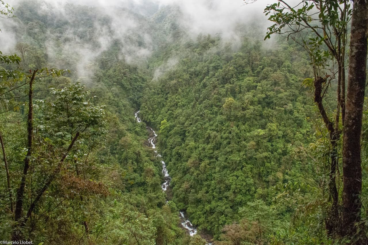  ¿Por qué algunas sociedades equilibran la protección ambiental y la justicia social mucho más efectivamente que otras? 