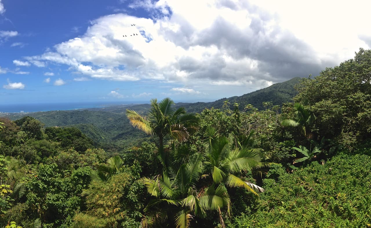EL BOSQUE MÁS LLUVIOSO. El Yunque es un lugar donde coexisten más de 240 especies de árboles nativos, así como unas 50 especies de orquídeas. Ubicado a media hora en carro de San Juan, Puerto Rico, es el único bosque lluvioso tropical en el sistema nacional de bosques de los EEUU. Su nombre es una adaptación al español de la palabra de origen Taíno «Yu-Ke» que significa «Tierra Blanca».