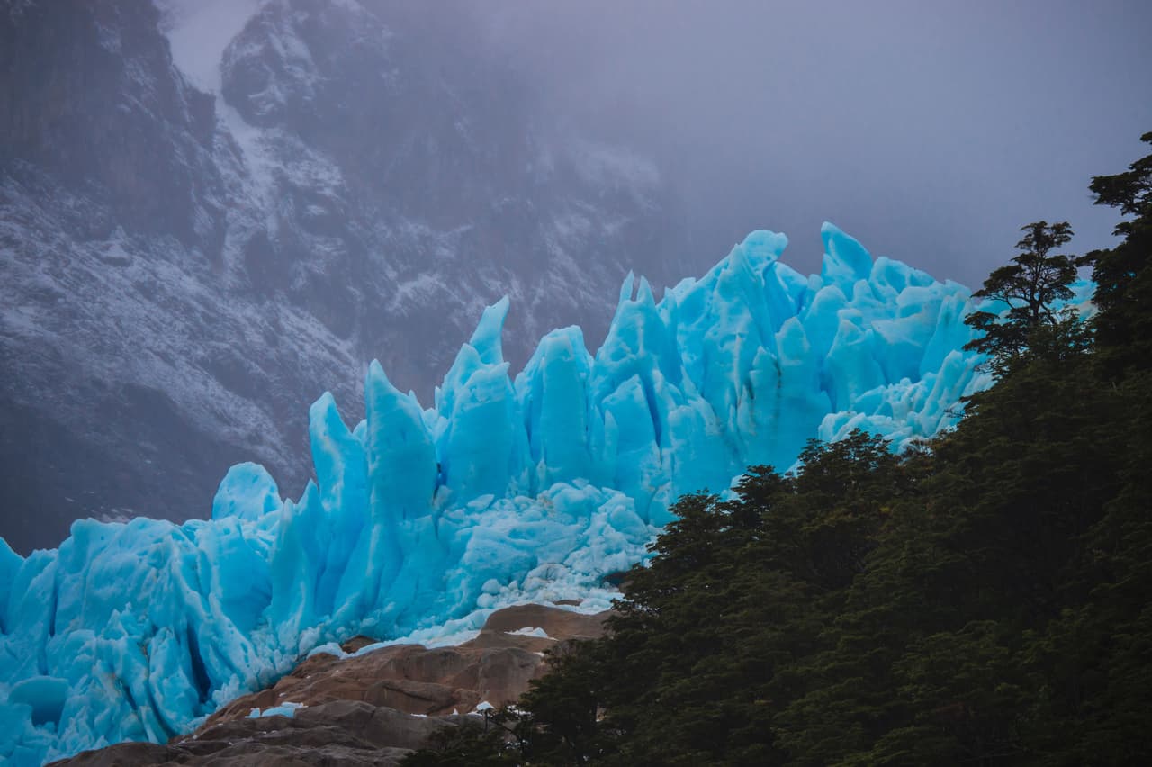 BOSQUE DEL GLACIAR. Junto al glaciar Serrano se alza un bosque. Ese es el contraste del Parque Nacional Bernardo O'Higgins, el área silvestre más grande de Chile y el segundo parque más grande de América. Allí prevalecen los paisajes boscosos, los canales, fiordos, esteros y presencia de hielos eternos, todo esto sumado a una fuerte inestabilidad climática con abundancia de precipitaciones y nubosidad.