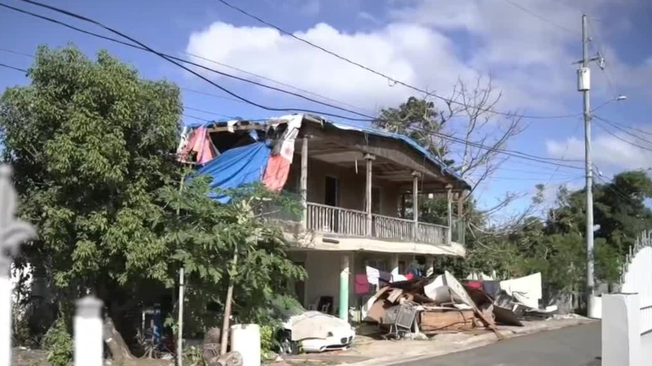 <b>Entre escombros y animales muertos: así viven cientos de puertorriqueños desde el huracán María</b>
<br>
<br>Familias que quedaron sin techo tras el paso del ciclón en el sector Breañas. La comunidad ya no sabe cómo más pedir ayuda. "Esto es un abandono lo que tiene el gobierno", dice una de las afectadas.