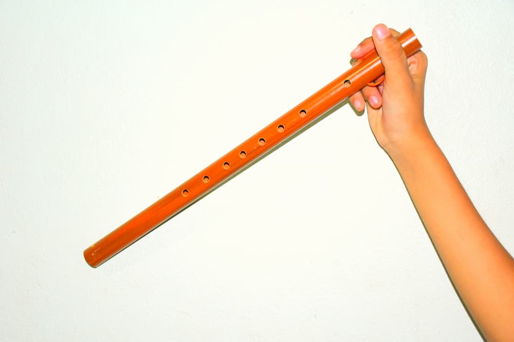 Hay quienes creen también que funcionan bien con Capricornio los amuletos que tienen que ver con el sonido y con la música, como por ejemplo una simple guitarra o una flauta.