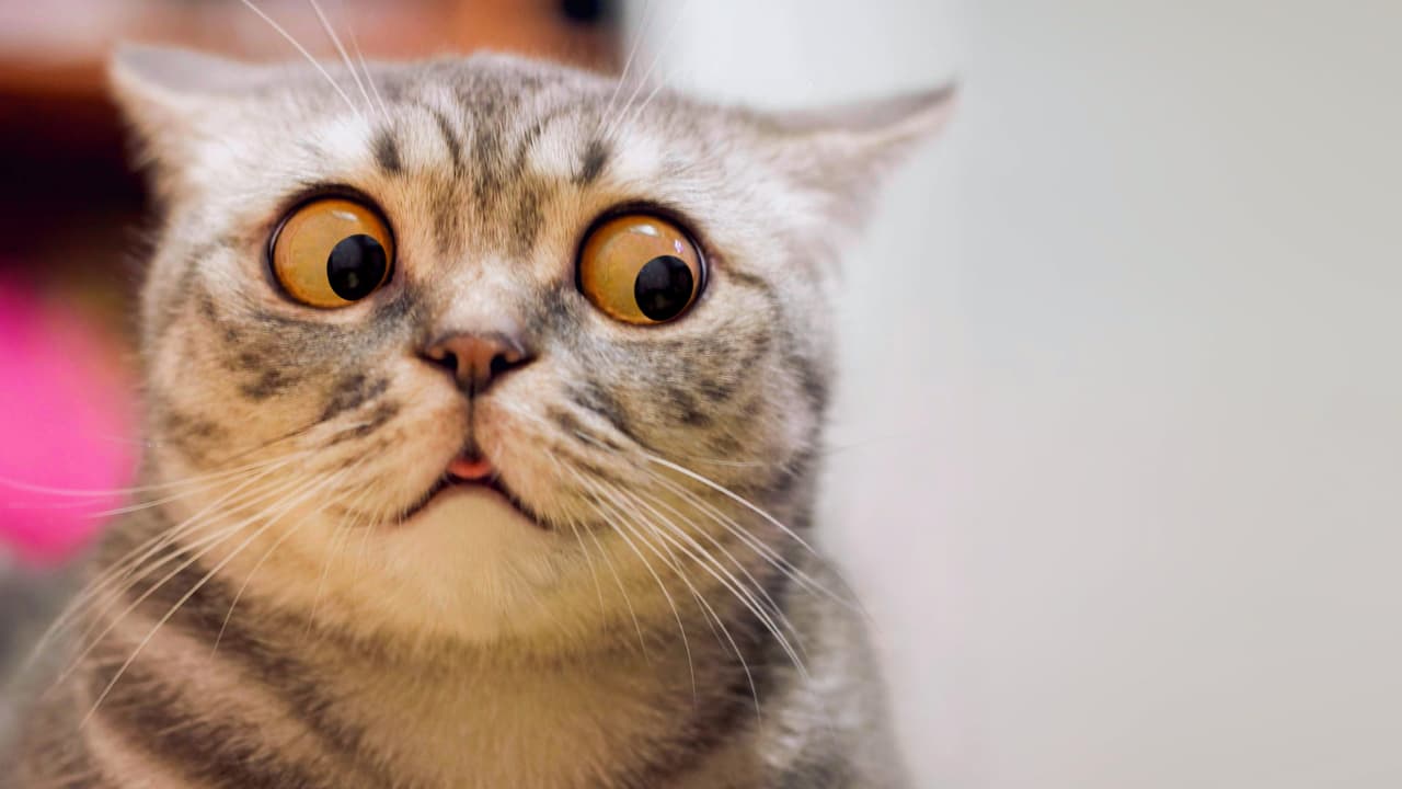 Prestó dinero a su examiga pensado que por ser religiosa no le quedaría mal, pero no le pagó.