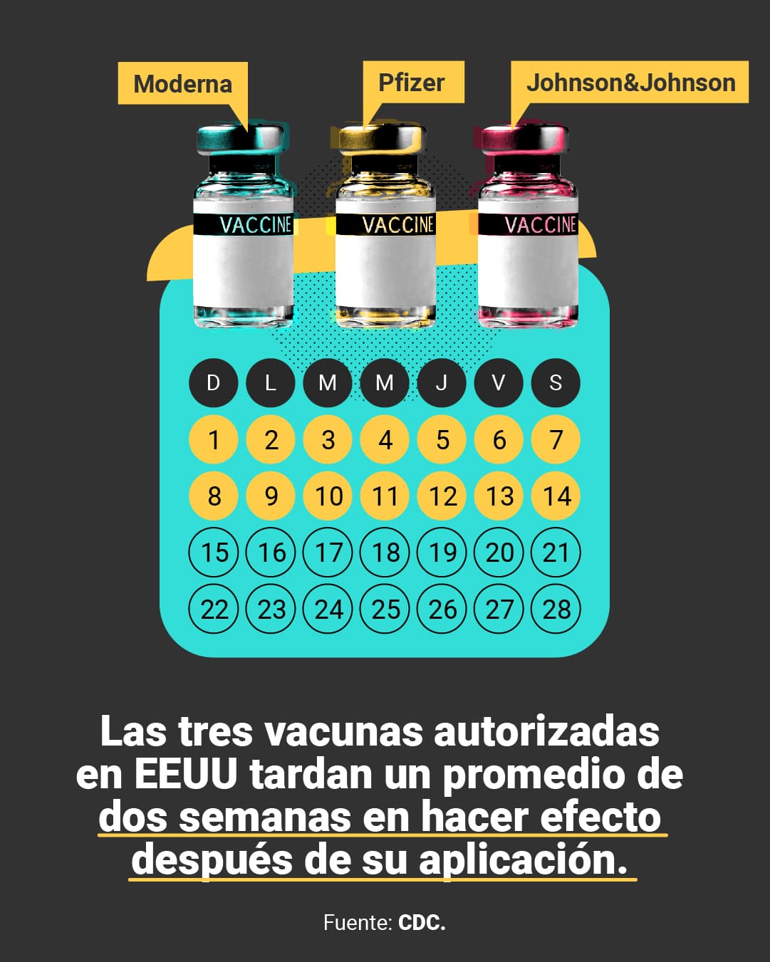 <a href="https://www.univision.com/noticias/cuanto-tardan-efecto-vacunas-covid-19" target="_blank">Aquí puedes leer la explicación completa de <b>El Detector</b>.</a>