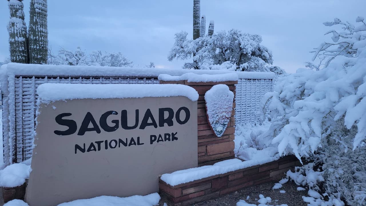 El sitio está dividido en dos secciones que juntas 
<b>abarcan más de 92,000 acres</b>, cuenta con siete áreas de picnic, seis zonas para acampar, 171 millas de senderos para recorrer e incomparables vistas a uno de los sitios naturales más bellos del país.