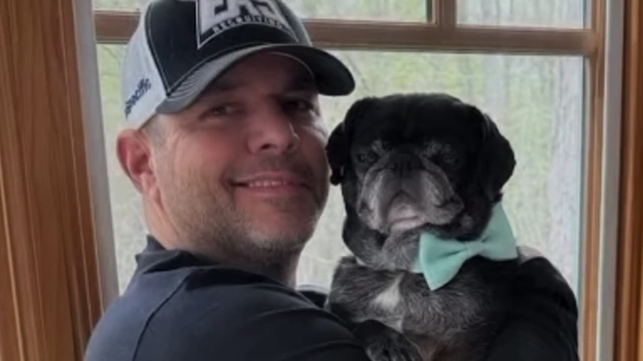 Hombre lucha contra un mapache que atacó a su perro en el condado Cherokee: esta es la historia