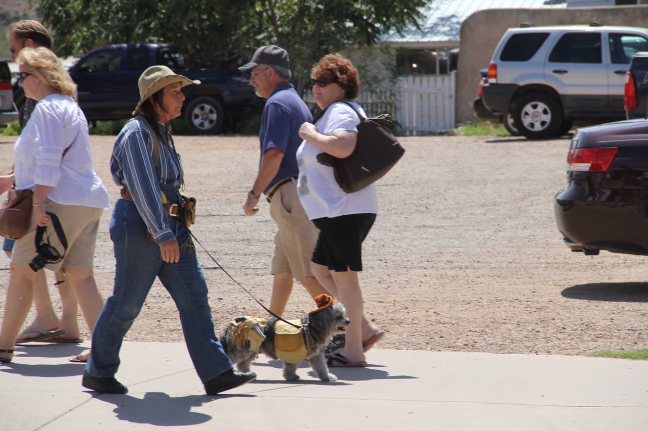 Hasta los perritos van armados