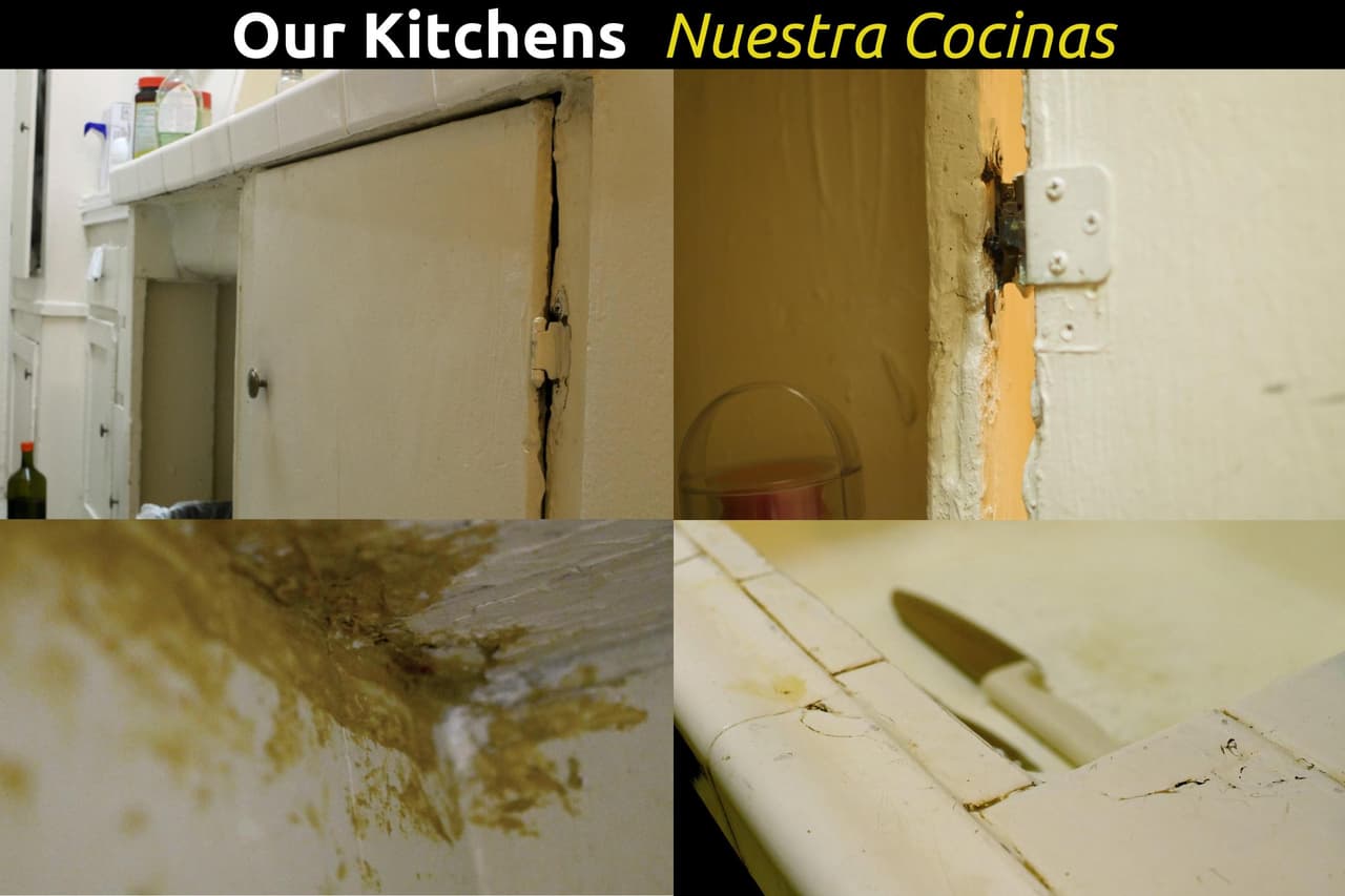 Mobiliario de la cocina en mal estado.