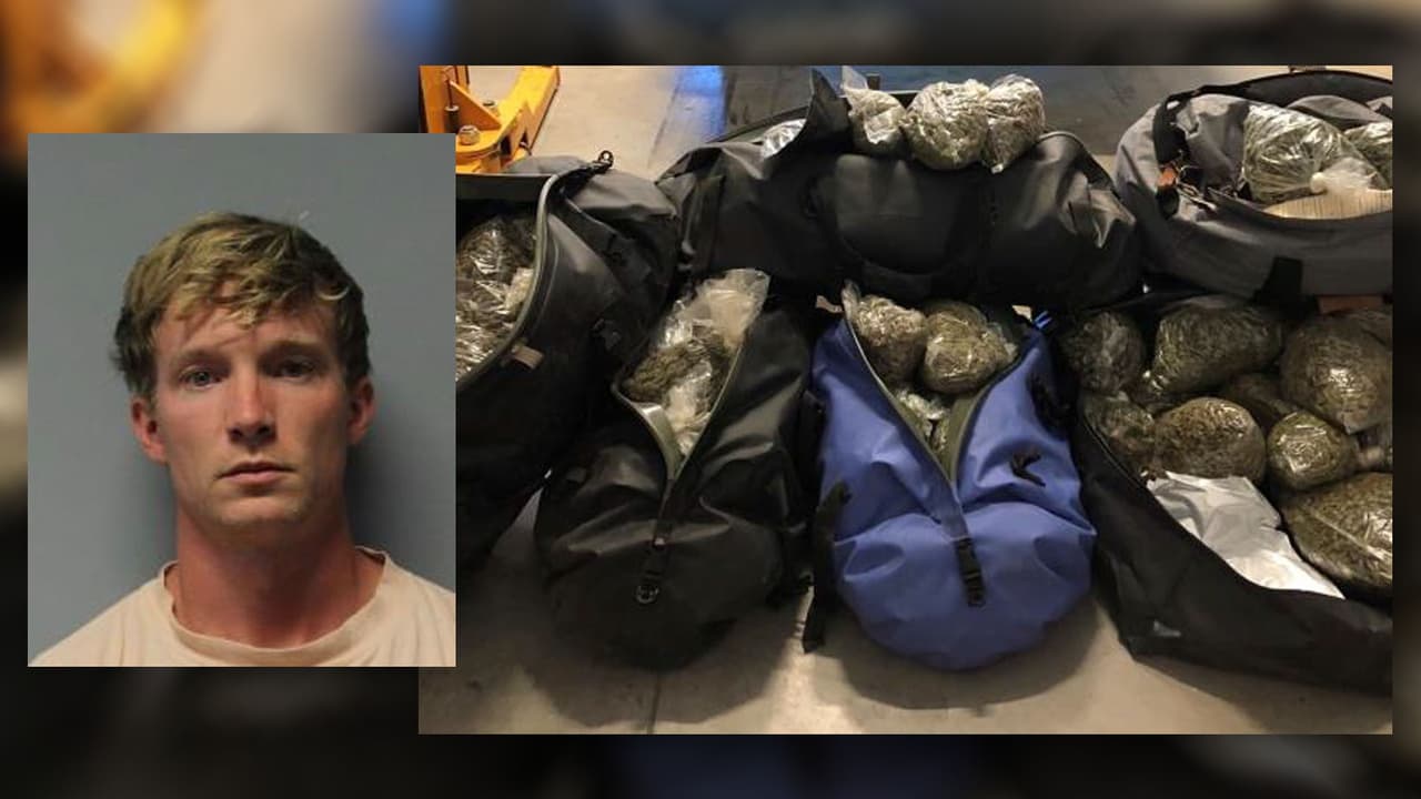 Viajaba en un auto con su hijo de 5 años y más de 170 libras de marihuana