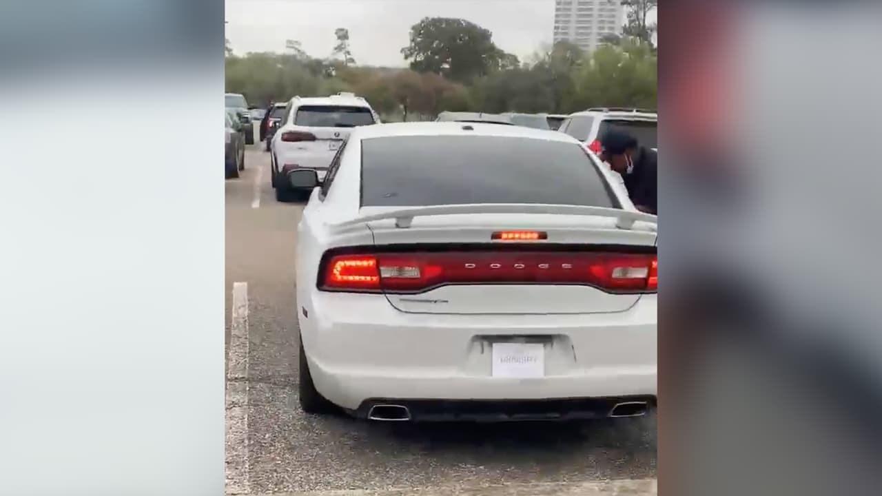 Ambos huyeron en un vehículo blanco. La mujer hizo la denuncia ante el zoológico, pero le aseguraron que no pueden hacer nada porque el estacionamiento no es de su propiedad.