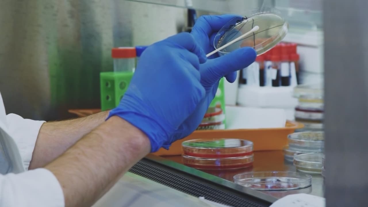 CDC alertan sobre bacterias y hongos resistentes a medicamentos; se consideran una amenaza urgente para la salud pública
