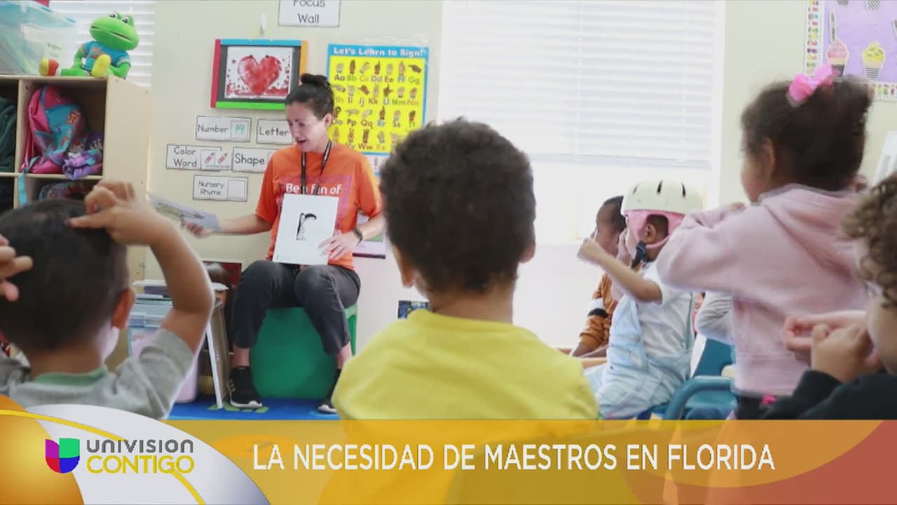 Academia de futuros maestros 2024