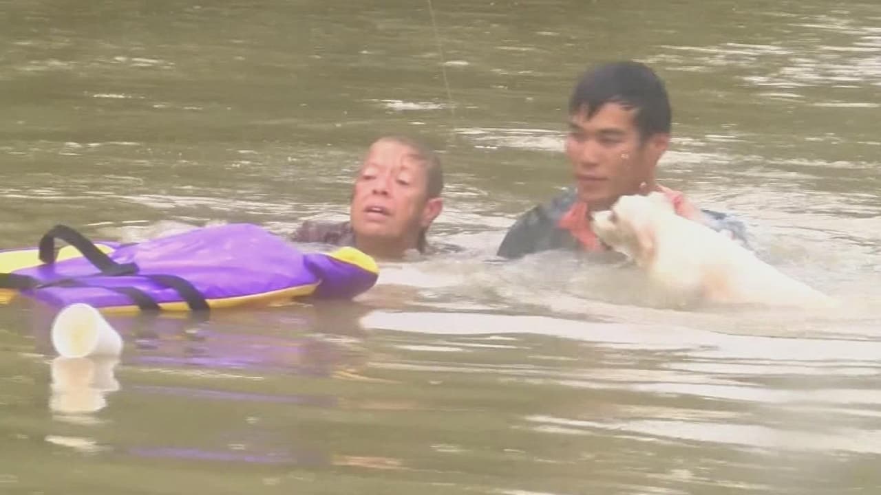 Inundaciones en Louisiana: el dramático rescate de una mujer y su perro justo cuando su vehículo se hunde 