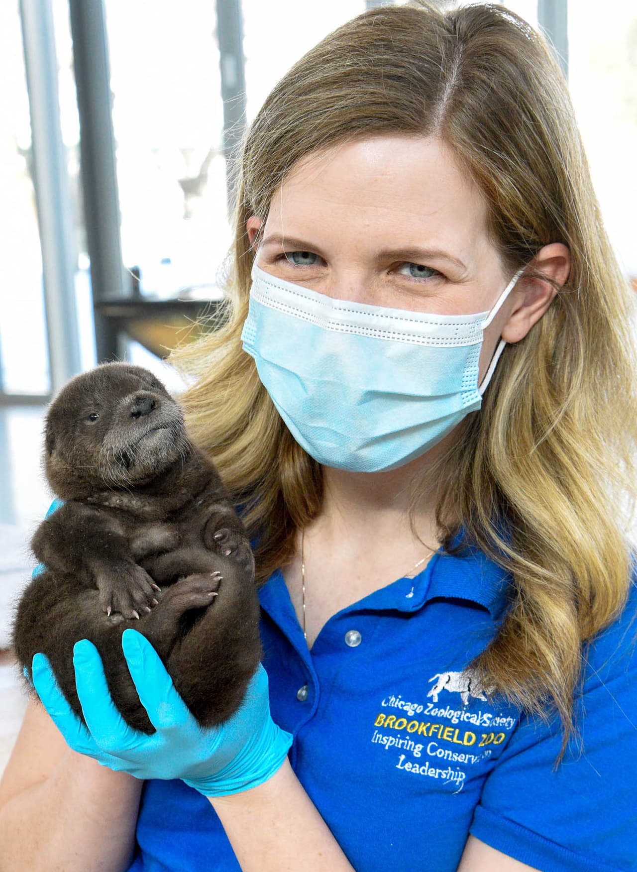 Pascal: es el nombre del personaje de la nutria de un popular videojuego.