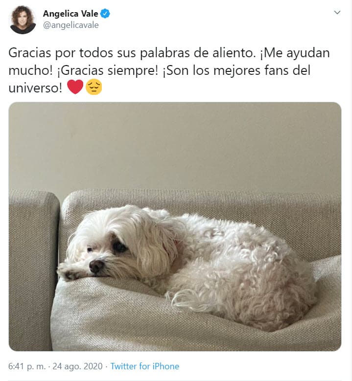 Angélica Vale agradeció todas las muestras de cariño que recibió en este doloroso momento con este mensaje: "Gracias por todas sus palabras de aliento. ¡Me ayudan mucho! ¡Gracias siempre! ¡Son los mejores fans del universo".