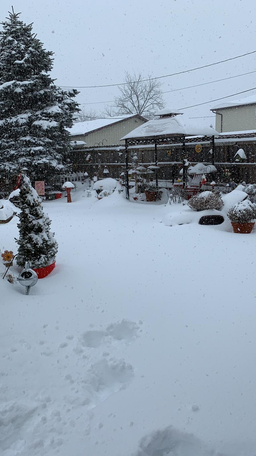 Sandra Acevedo, fiel televidente de Univision 65 nos envió desde Northampton, Pensilvania esta fotografía desde el jardín de su vivienda.