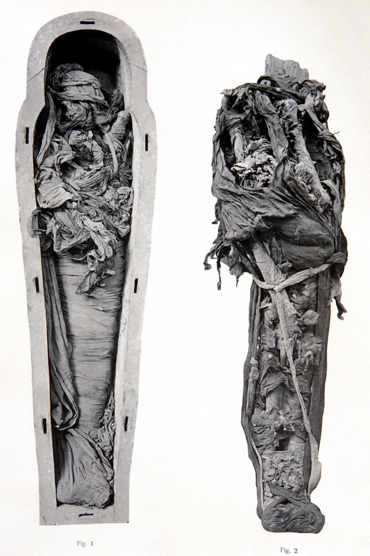 Se dice también que Sir William Petrie, un reconocido egiptólogo, tenía en su casa un par de momias egipcias que anatómicamente no corresponden con la estructura ósea humana y que podrían ahora estar guardadas secretamente en el Museo Rockefeller de Jerusalén.
<br>