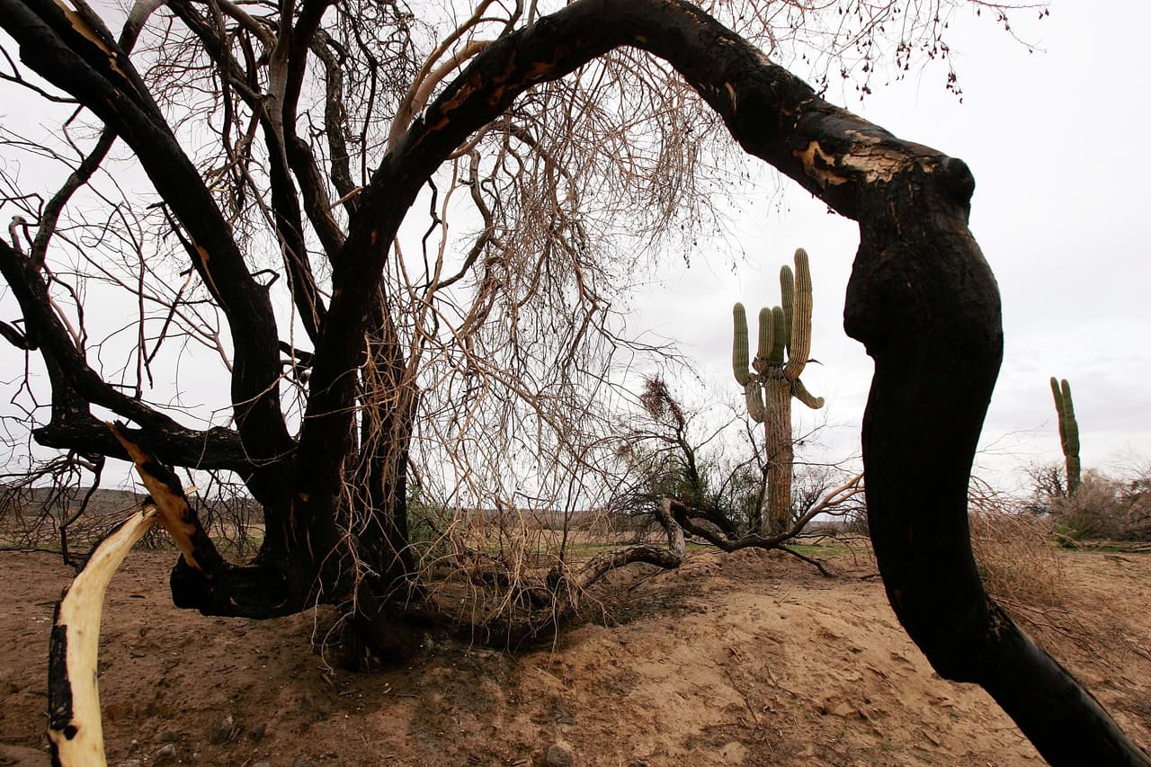 Sin rastro de Yaquelin: Joven salvadoreña desaparecida en desierto de Arizona