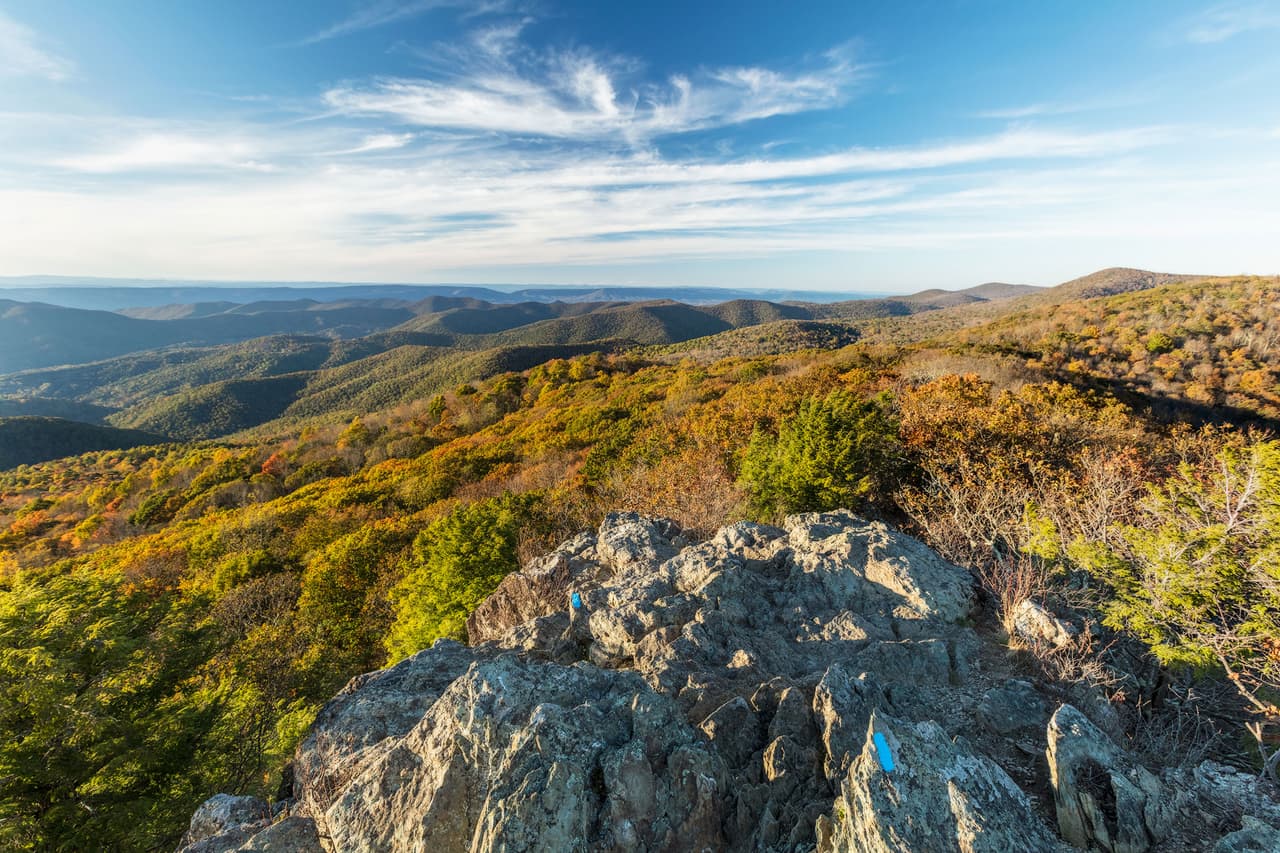 Bosques de varios tipos cubren el 95% del Parque Nacional Shenandoah e invitan a una variedad de aves a visitar durante todo el año, ya sea que se reproduzcan en verano, migren en primavera y otoño o que pasen el invierno. A medida que los bosques se calientan, una cantidad de aves que se reproducen en Shenandoah en el extremo sur de su área de distribución, incluidos los zorzales y las currucas, podrían dejar de encontrar el clima adecuado en el parque ubicado en Virginia. En invierno, sin embargo, el clima del parque puede ser adecuado para 43 especies, que podrían colonizar el parque. Estos incluyen varios pájaros como el mascarita común y el gorrión cola blanca, que actualmente se reproducen o migran a través de Shenandoah, y pueden comenzar a invernar allí también.