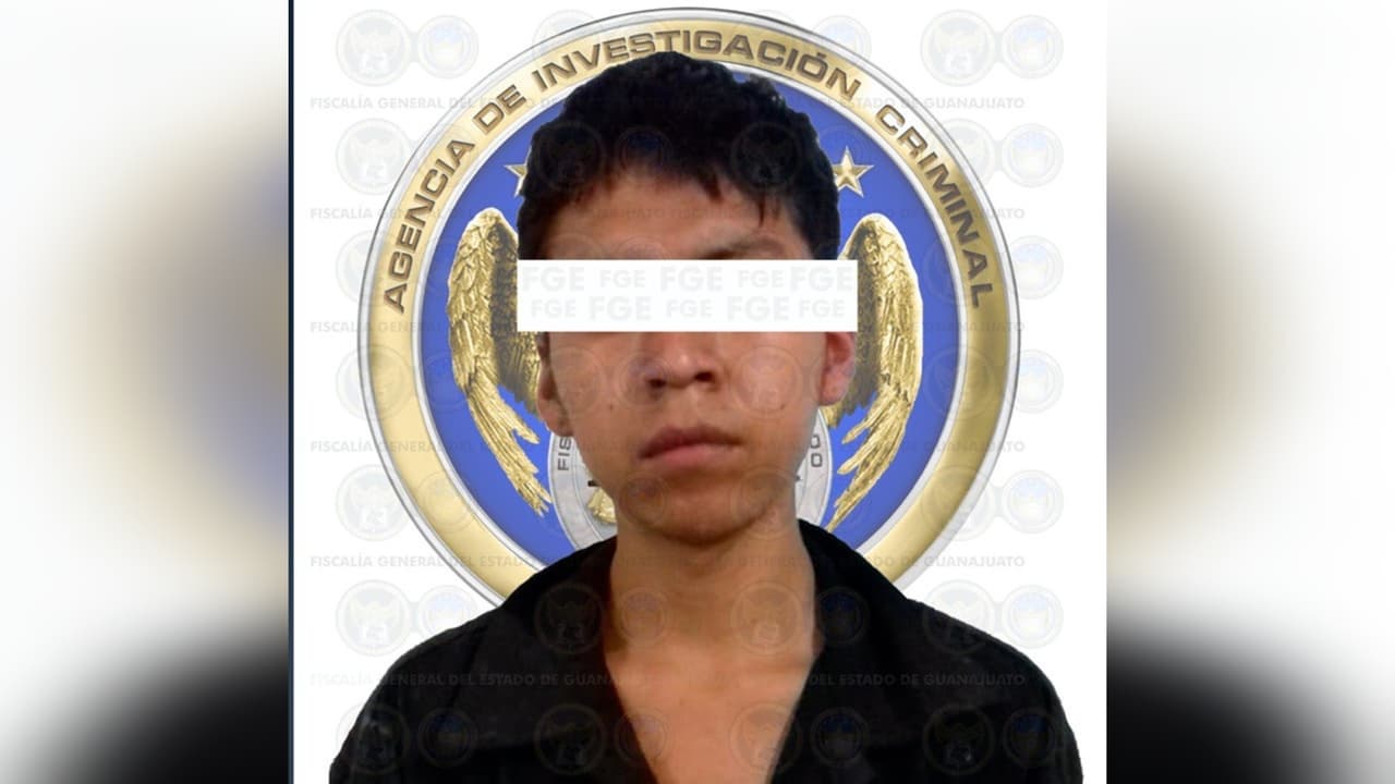 La víctima tenía un corte en el cráneo: arrestan a un hombre acusado de intentar decapitar a su madre