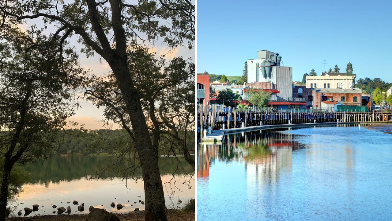 En
<b> Santa Rosa-Petaluma, California</b>, criar a un solo niño tiene un costo aproximado de $29,544 al año. Esta área se encuentra en el condado de Sonoma y ofrece una mezcla de belleza natural y opciones culturales.