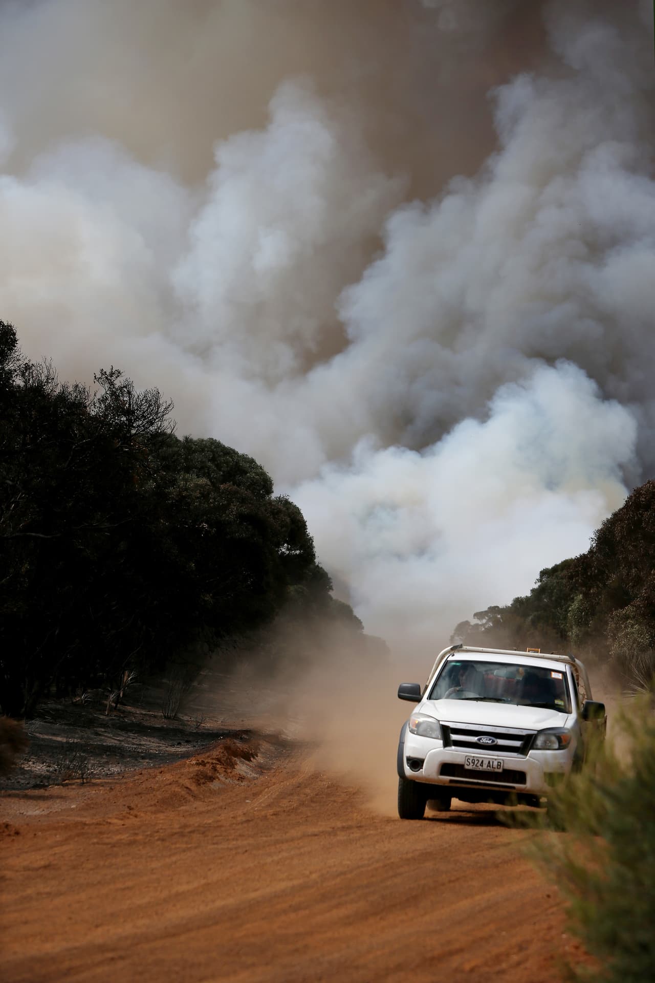 Una columna de humo sobre el Monte Taylor Road que limita con las tierras agrícolas en Karatta, Australia.
<br>
<br>Los incendios han cobrado dos vidas y al menos 56 hogares con la ciudad de Kingscote interrumpida mientras el Servicio de Bomberos del País (CFS) continúa luchando contra una serie de incendios fuera de control. Los caminos que salen de Kingscote, en el noreste de la isla, están cerrados debido a una advertencia de vigilancia y acción. (Foto de Lisa Maree Williams / Getty Images)
<br>
<br>Hay alrededor de 135 incendios ardiendo en Nueva Gales del Sur, 50 de los cuales no están contenidos, informaron agencias de noticias este sábado.