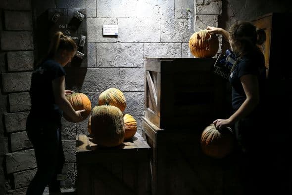 Una audaz ambientación que hará que los turistas y locales quieran volver año con año.