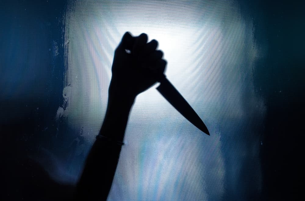 Sin embargo, así como bien podrían ser los que acaben con el monstruo o asesino, también tienen un lado bastante impulsivo e imprudente que sería su perdición. Al no pensar bien las cosas y apresurarse a responder a la agresión, terminarían convirtiéndose en una de las lamentables víctimas.