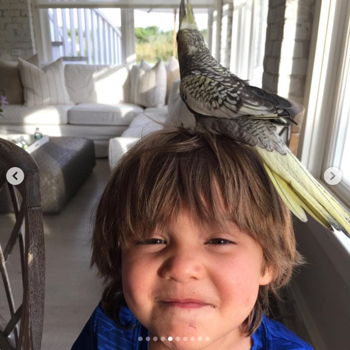 "Hoy 
<b>celebramos tu vida con las cosas más simples</b> que te hacen feliz, como tu pastel de chocolate hecho en casa, los abrazos empalagosos de mamá y papá, los caramelos que tu hermanita sabe cuánto te gustan y las notas de cariño de tus amigos y personas cercanas", compartió la intérprete de 'Amor a la mexicana'. 
<br>