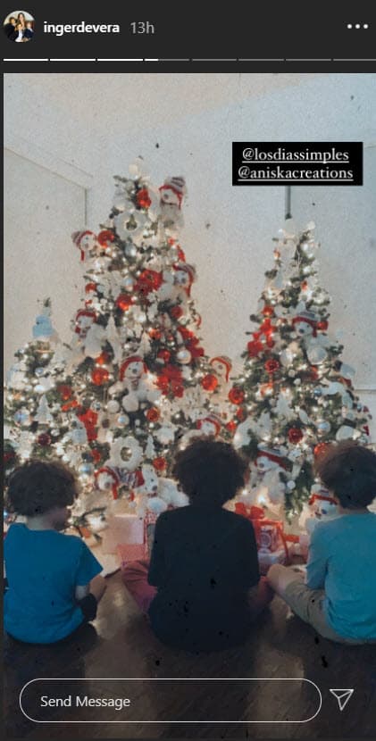 Devera explicó la razón por la que puso tres luminosos pinos decorados con osos de peluche y esferas en su casa.